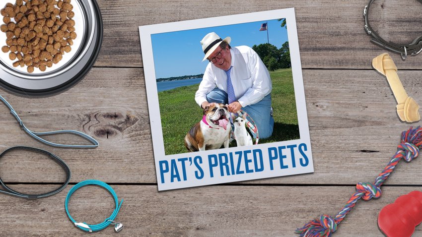 Pat's Prized Pets Contest